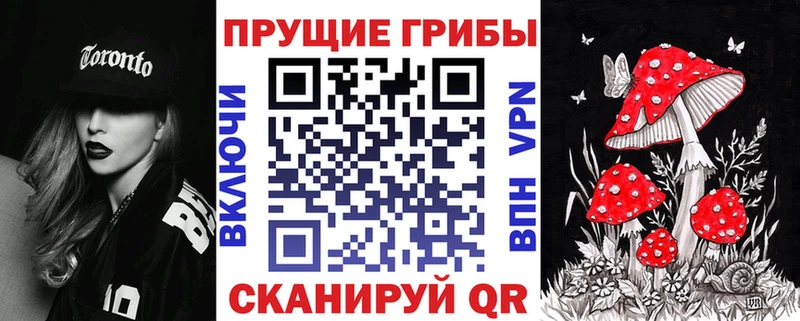 кракен вход  Кстово  Галлюциногенные грибы Psilocybe 